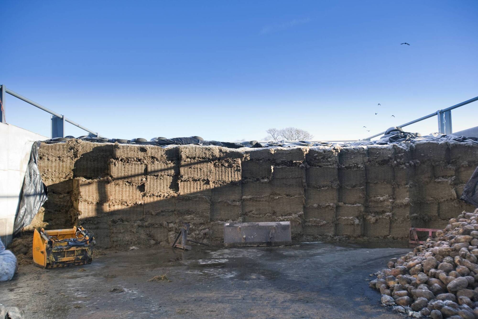 Brian Reidy: The causes and cures for heating in grass silage
