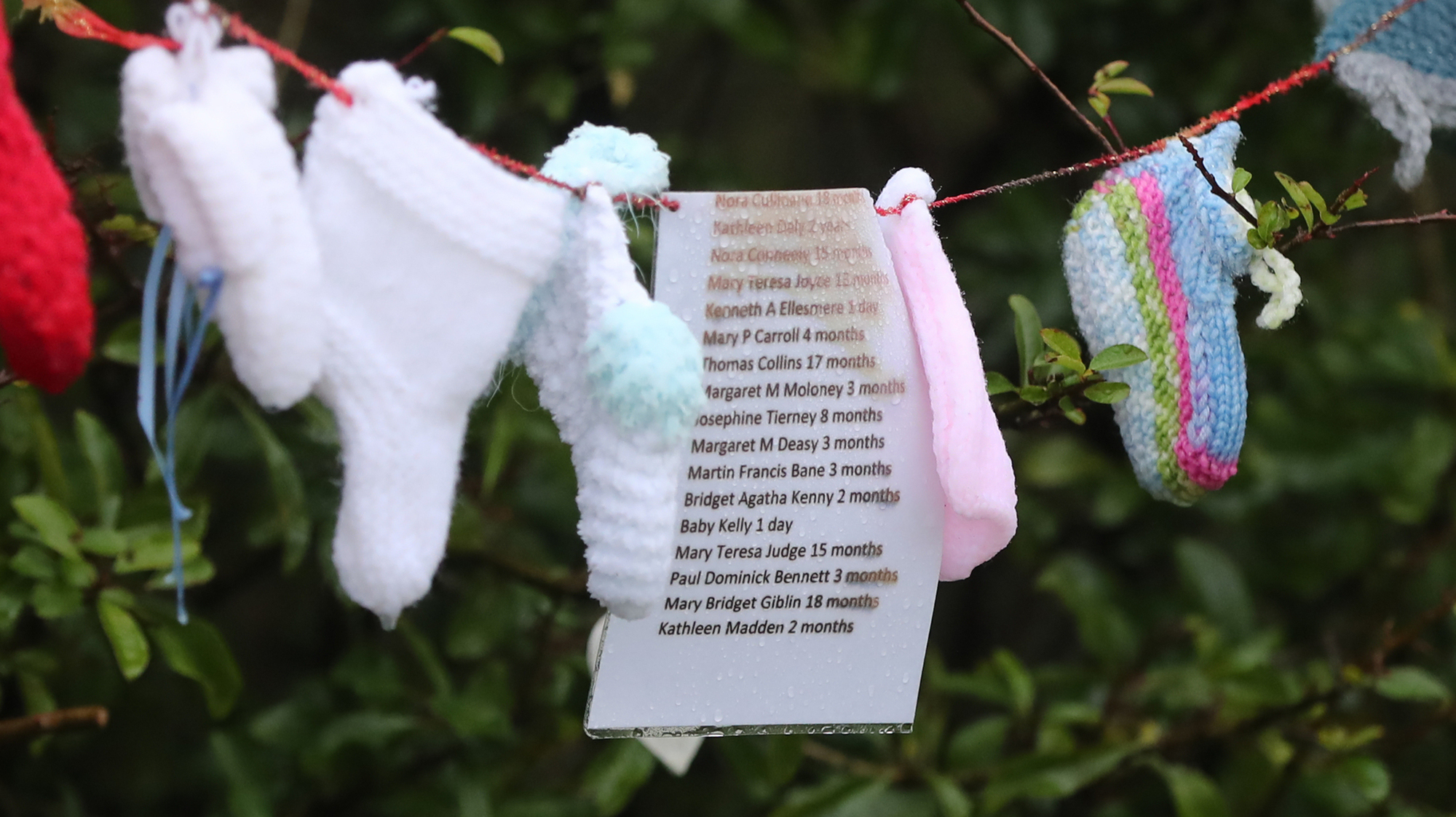 Sister of babies born in Tuam mother and baby home gives notice over lack of criminal investigation