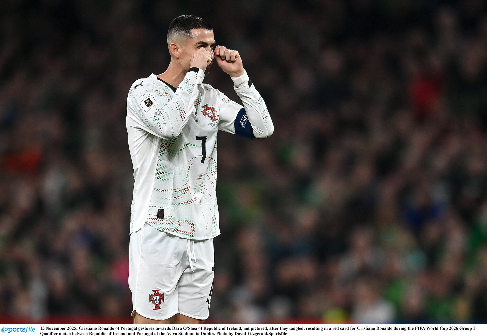 Martinez felt Ronaldo's red card was 'harsh'