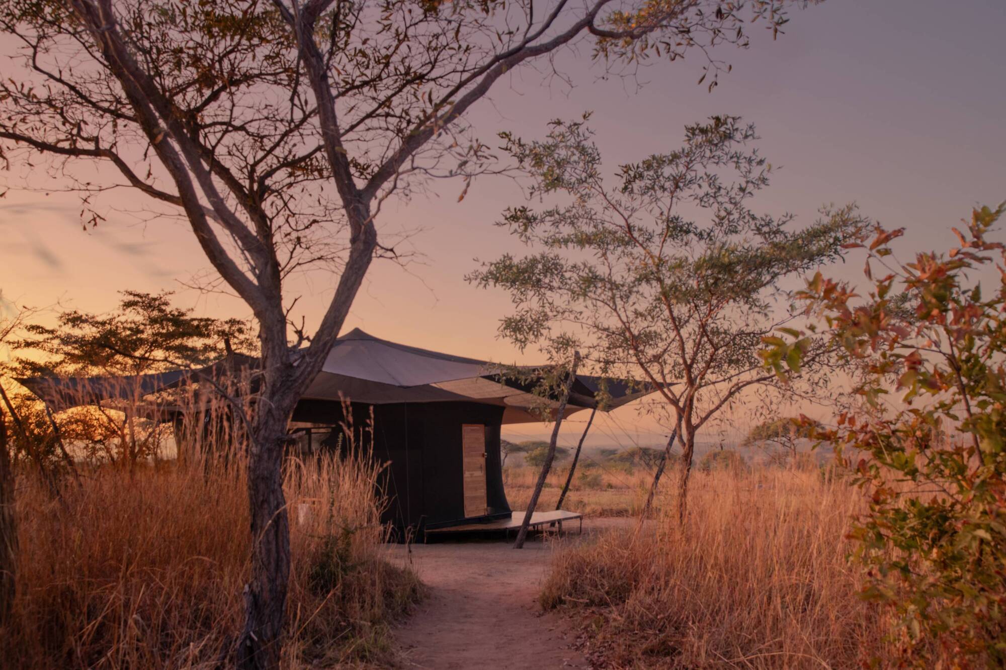 Departure Lounge: Five deals to book this week, from a stargazing safari to Twixmas escapes