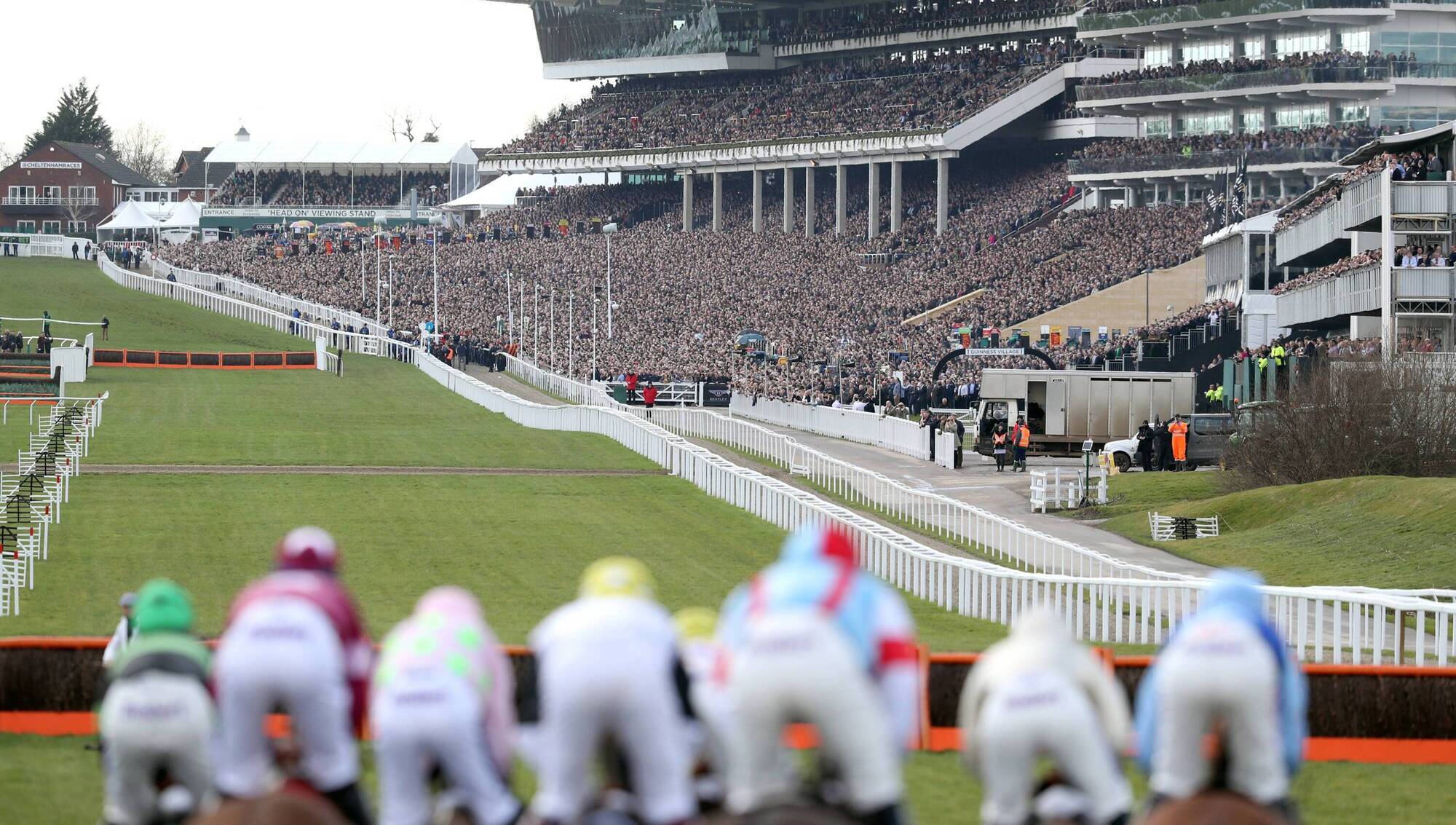Ruby Walsh: Cheltenham is a monster because it deserves to be