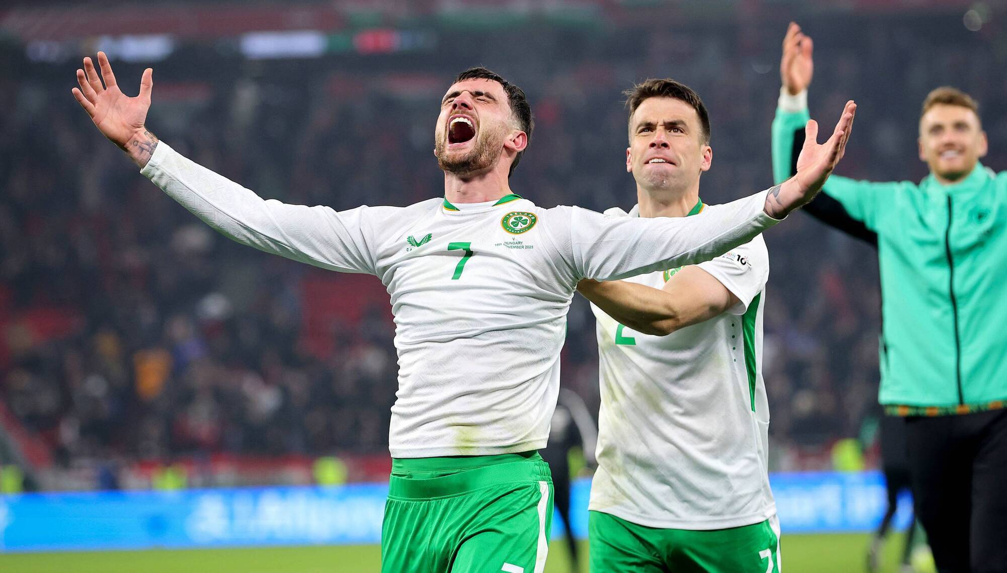 Ireland relishes victory against Hungary with airport 'name change' and half-price zoo tickets