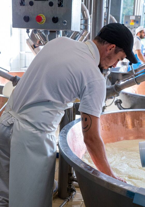 A worker carrying out the skilled job of coagulation at Caseificio Gennari. Picture: Laura Maniscalco. A worker carrying out the skilled job of coagulation at Caseificio Gennari. Picture: Laura Maniscalco.