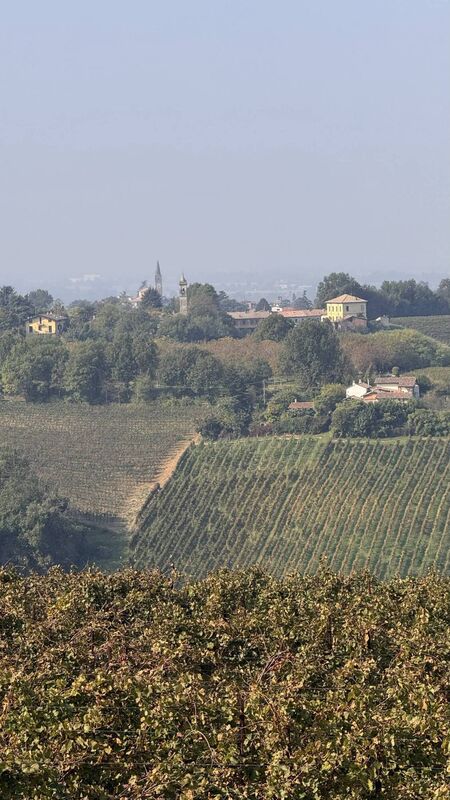 The view of the surrounding land from Tenuta Mazzolino boutique winery in Oltrepò Pavese. Picture: Breda Graham. The view of the surrounding land from Tenuta Mazzolino boutique winery in Oltrepò Pavese. Picture: Breda Graham.