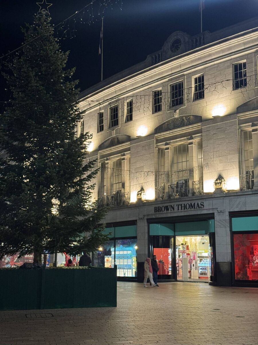 Brown Thomas has unveiled its highly anticipated Christmas windows at its Cork store. Picture: Breda Graham.