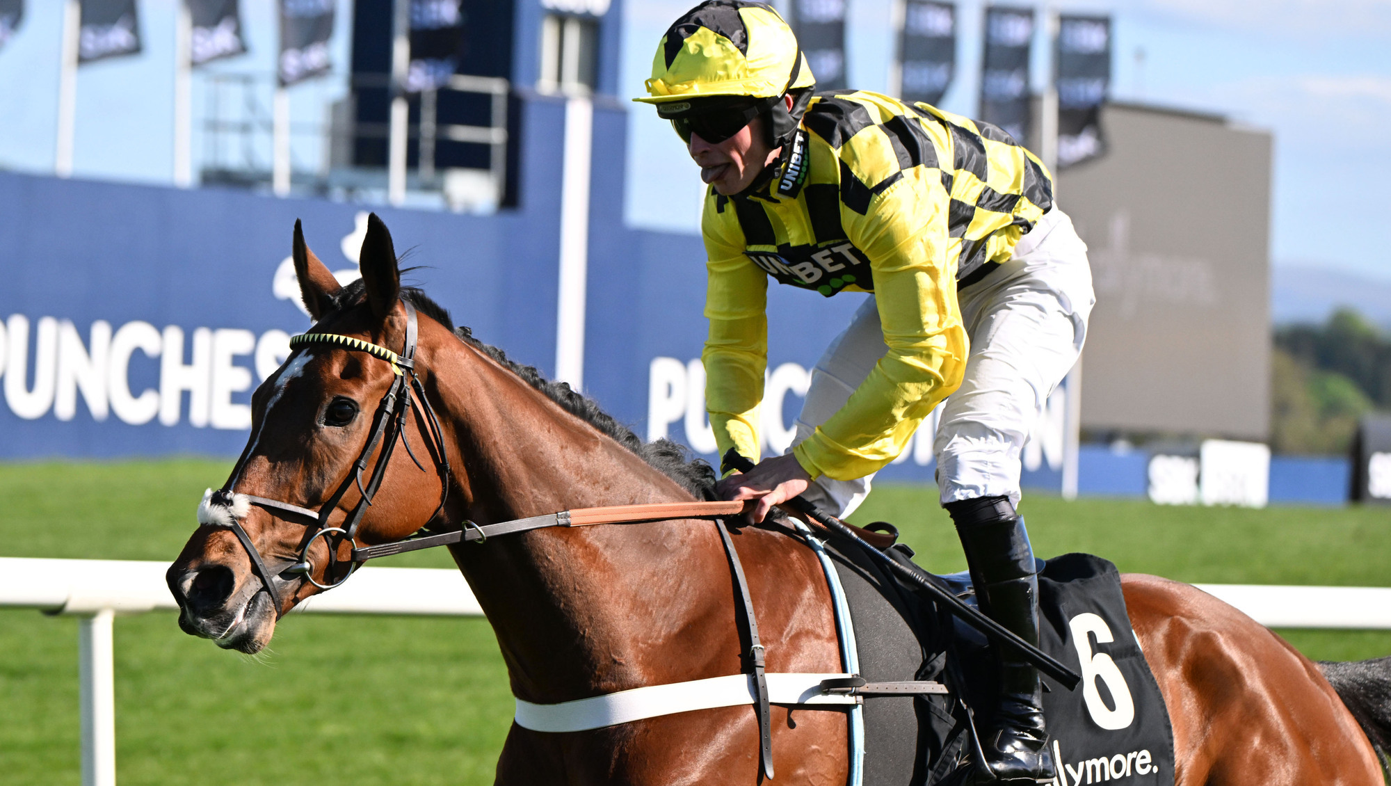 Lulamba makes perfect chase start at Exeter