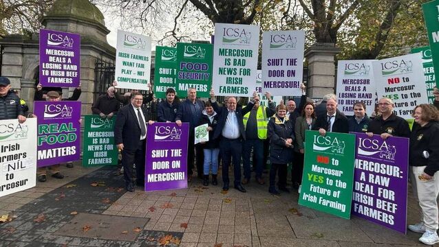 <p>ICSA protest against the Mercosur Trade Deal outside Leinster House. </p>