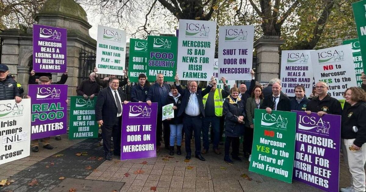 ieExplains: What is the Mercosur trade deal and why is it important?