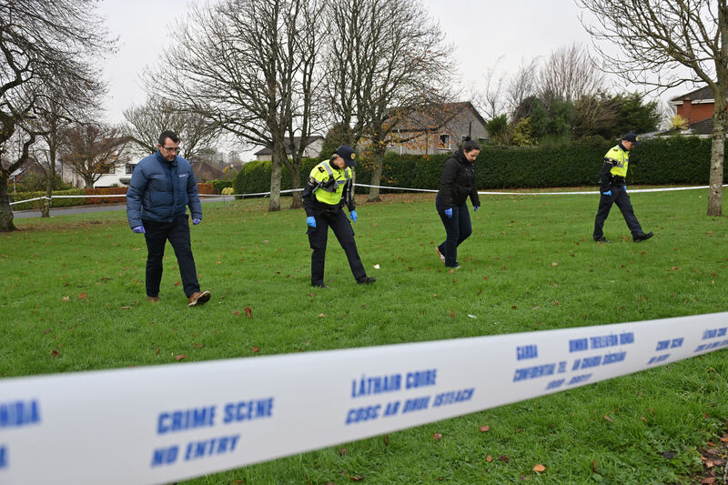  Garda members search the green at Shrewsbury Downs in Ballinlough, Cork, following a fatal incident that left a woman dead and her husband seriously injured. Picture: Dan Linehan