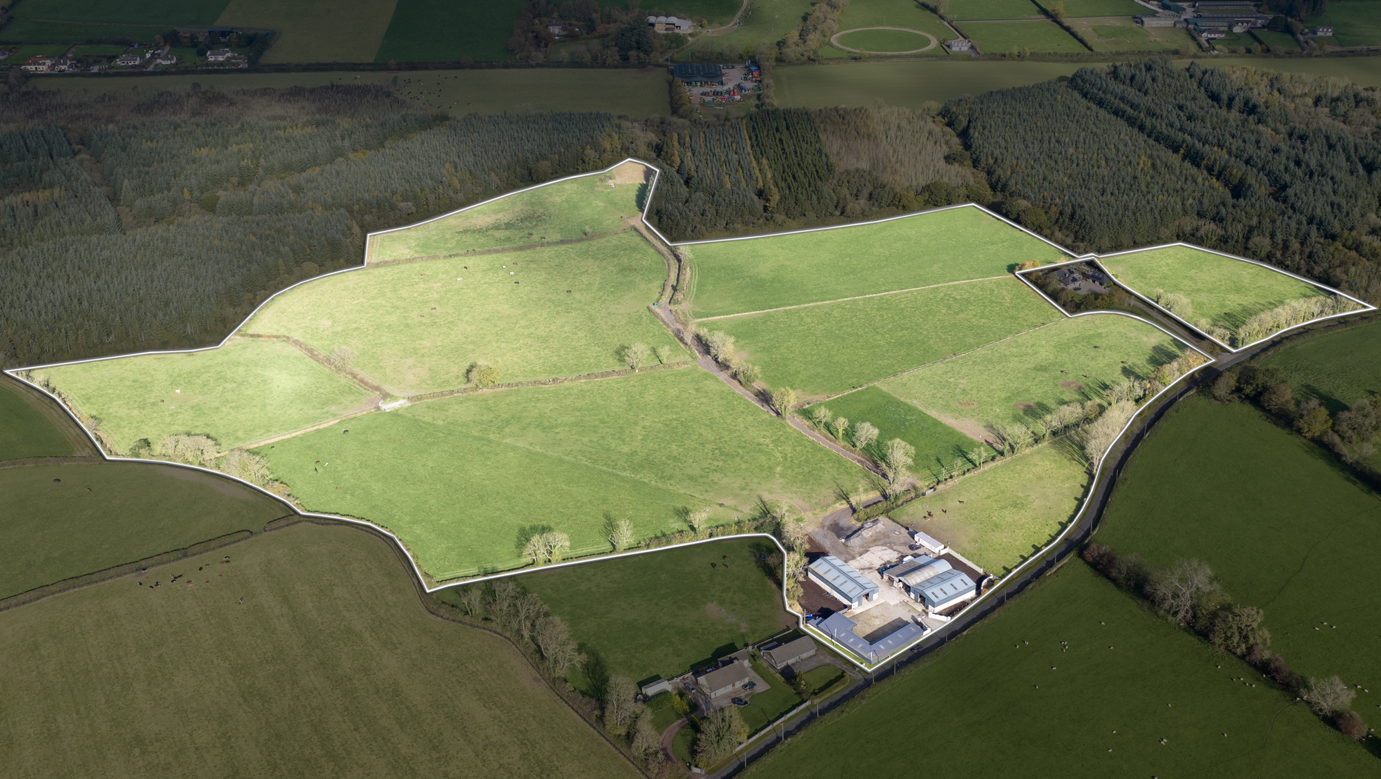 Guide price of €29k/acre for 43-acre East Cork stud farm