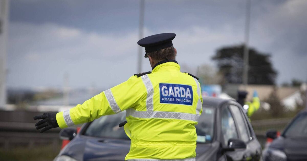 Le directeur de l’entreprise admet avoir mis du diesel vert dans sa voiture « en cas d’urgence », a déclaré le tribunal de Cork