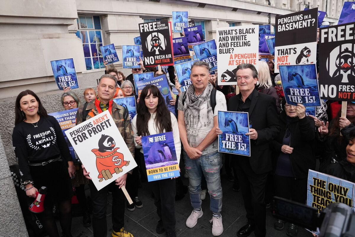 Chris Packham, Megan McCubbin Dale Vince and Feargal Sharkey at the Free the Fifteen protest organised by Freedom for Animals with support from Born Free, calling for a group of 15 Gentoo penguins to be freed from their basement enclosure at Sea Life London. Picture: October 19, 2025, Jonathan Brady/PA Wire