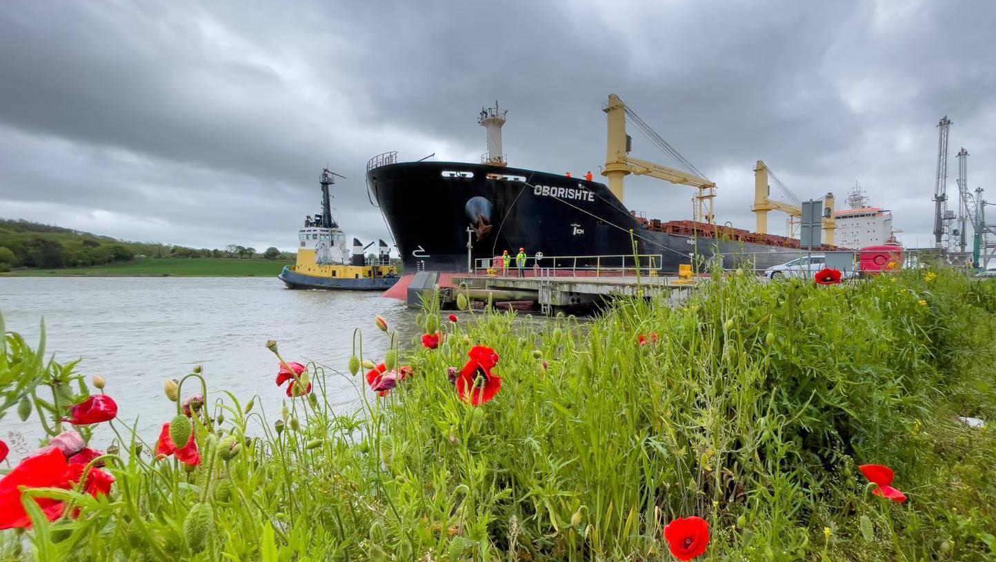 Port of Waterford: The south-east’s strategic  gateway to global trade