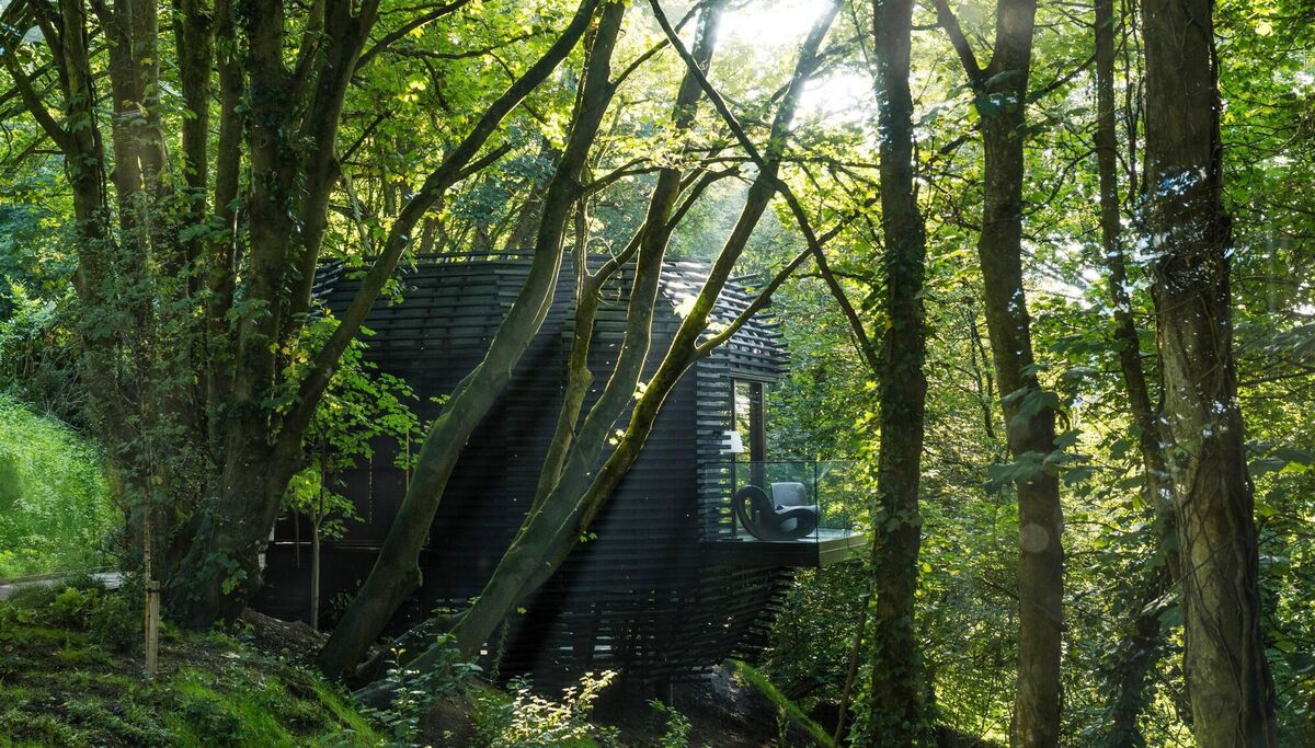 Woodland Suite Experience