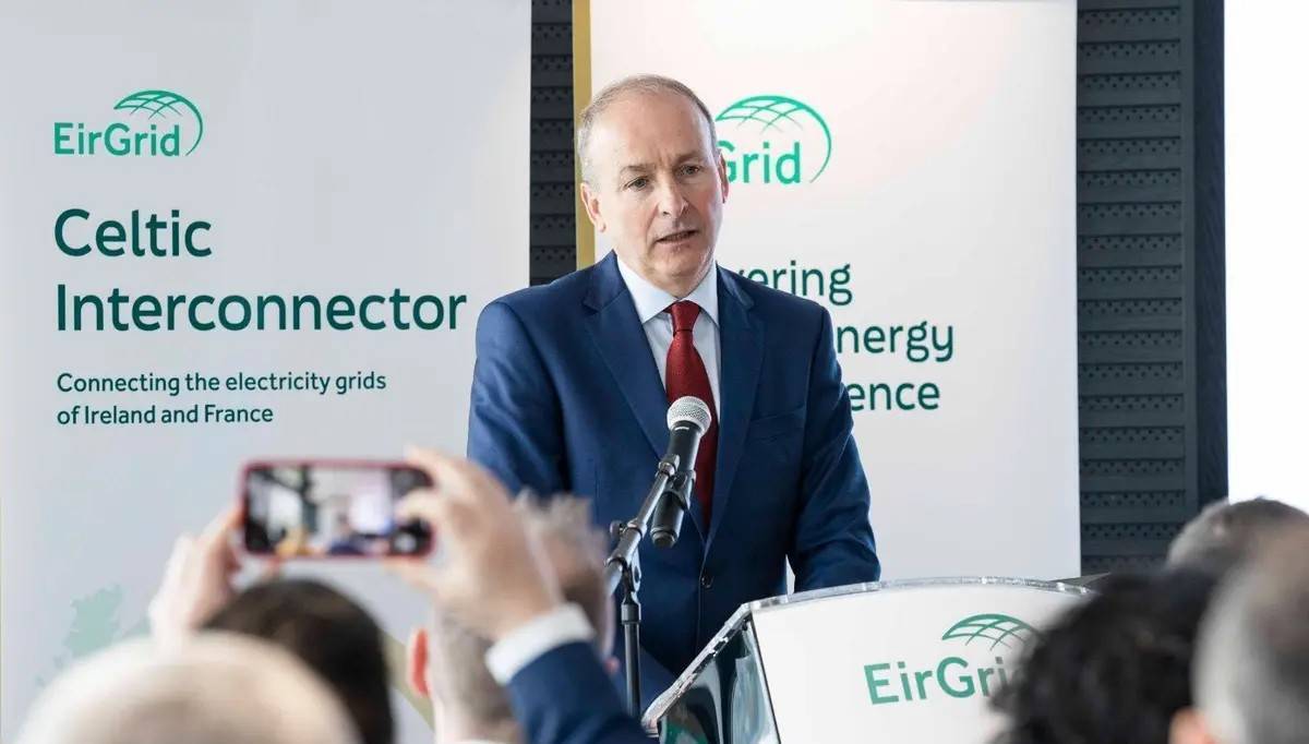 Onshore energy auction unlikely to drive Ireland to its 2030 green goals