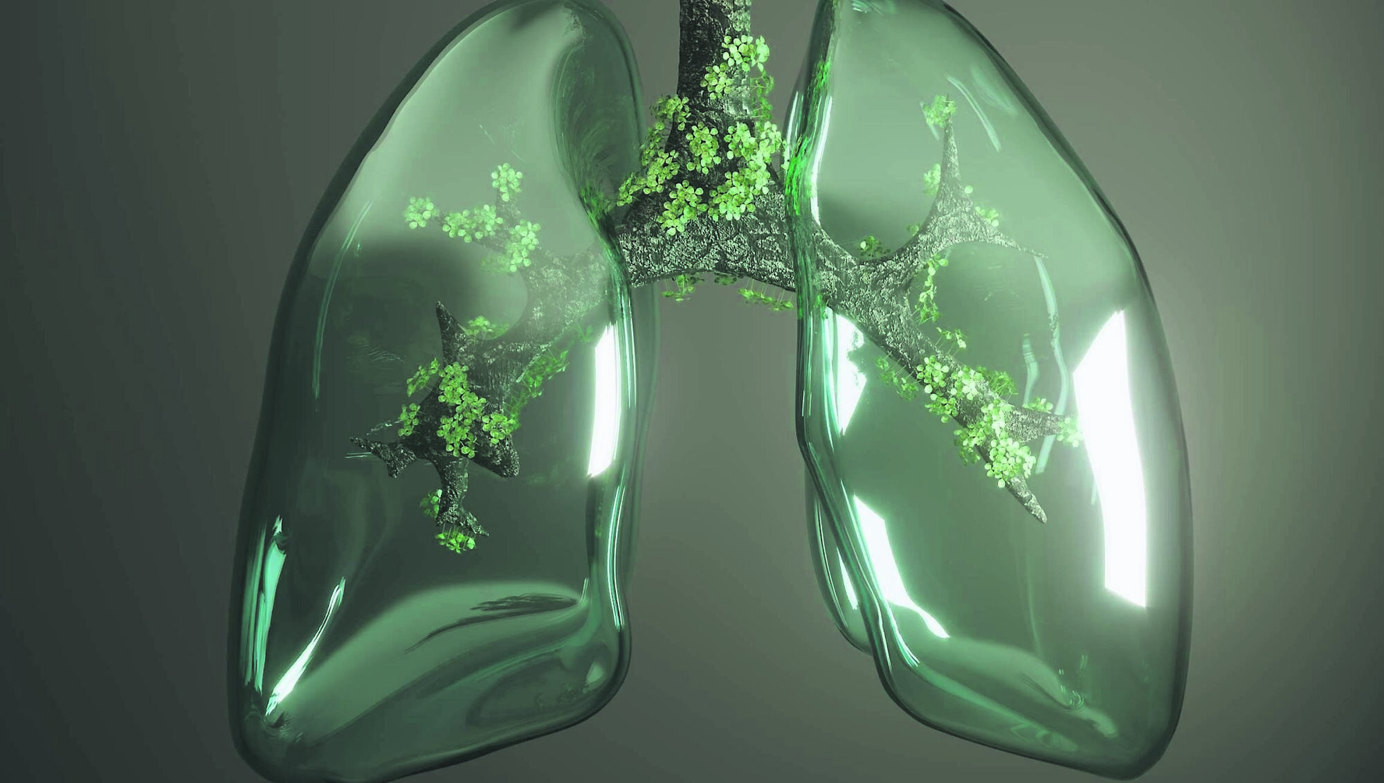 How healthy are your lungs? Improve lung health with these simple steps