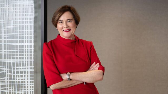 <p>Joanne Hyde, partner at law firm Lewis Silkin Dublin. </p>