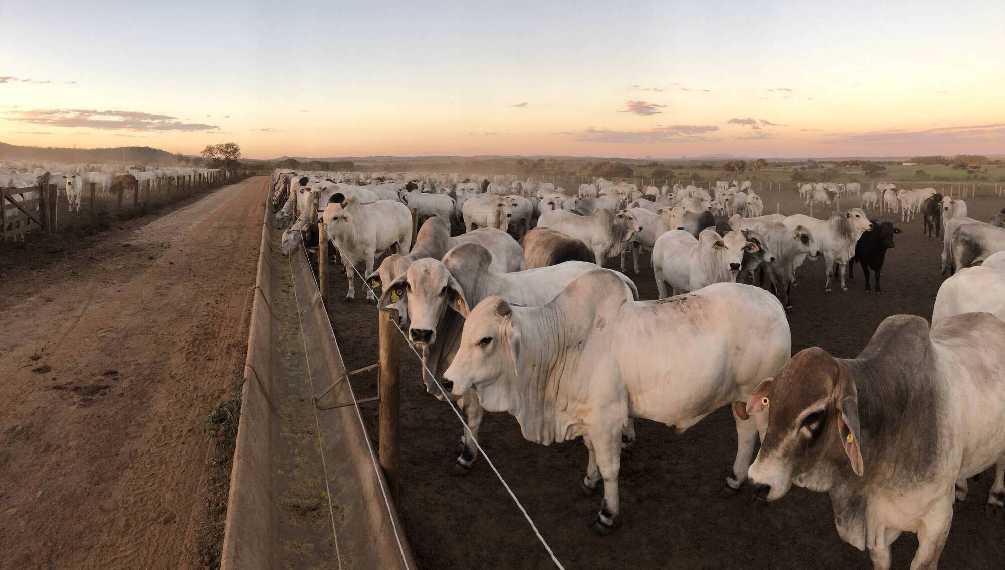 Government still falling short on blocking Mercosur