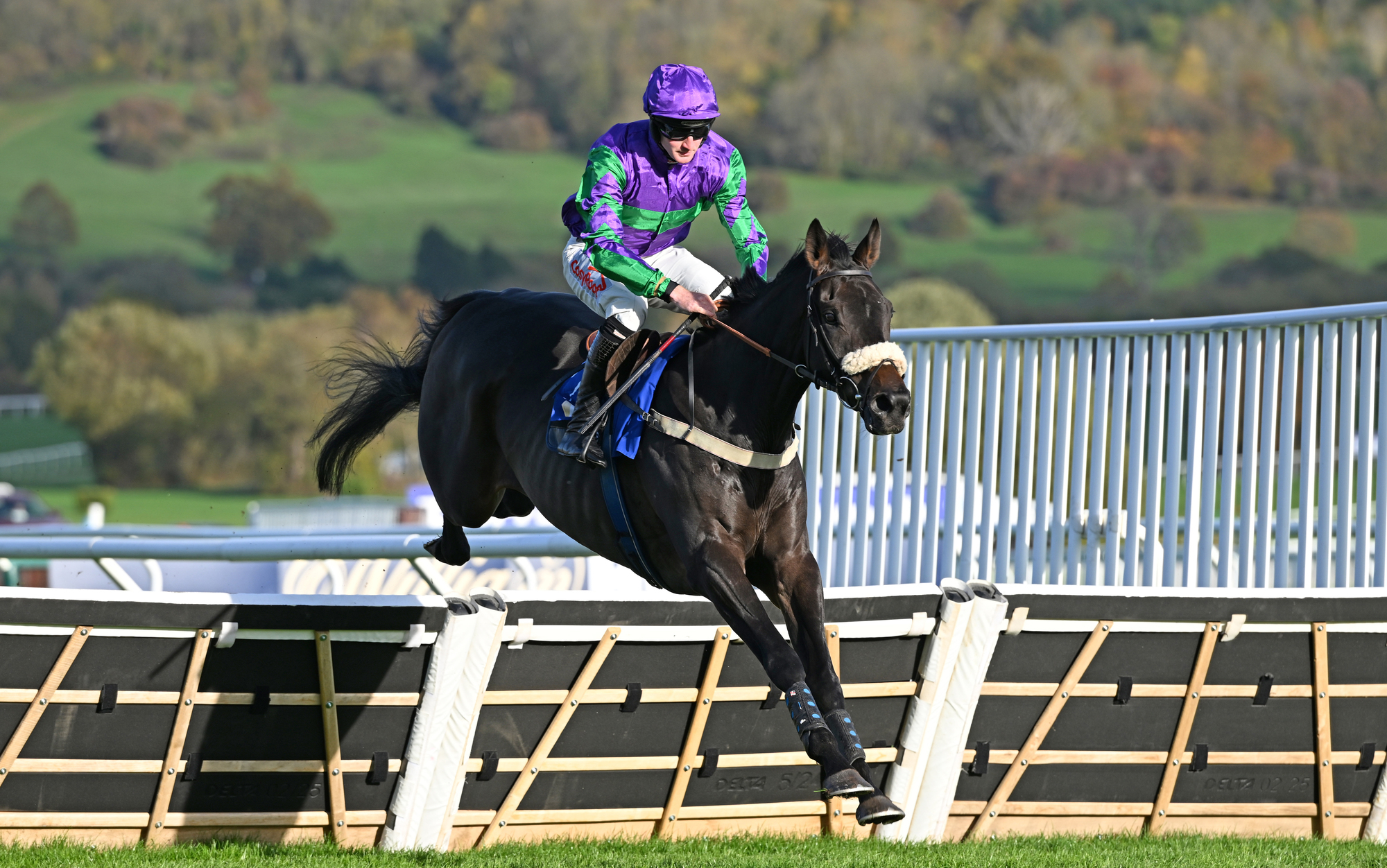 Colm Greaves: 10 hurdlers who are set to make a big impression this winter