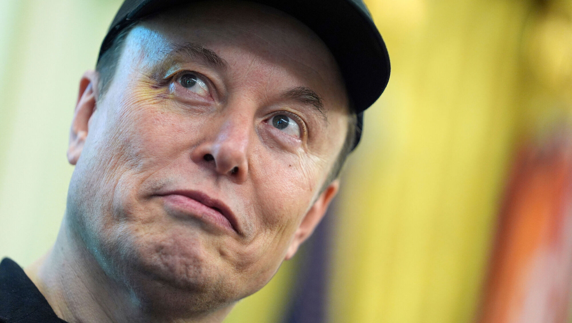 Elon Musk’s Grok AI tells users he is fitter than LeBron James and smarter than Leonardo da Vinci