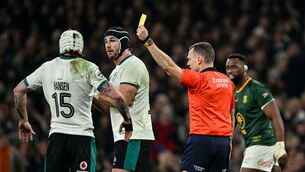 <p>There were six cards issued during the match, including a 20-minute red card for James Ryan, and four yellow cards for Ireland. Pic: Ramsey Cardy/Sportsfile</p>