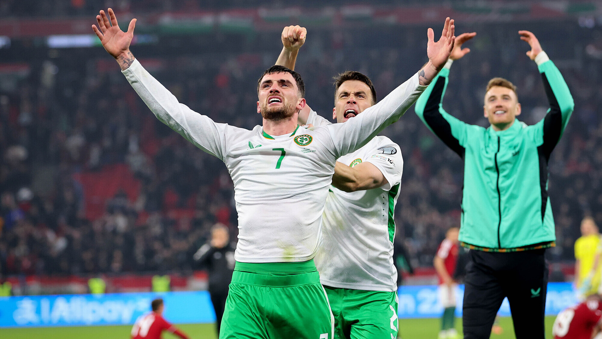 Colin Sheridan: Having miscalculated Ireland's chances, I had to roll the dice