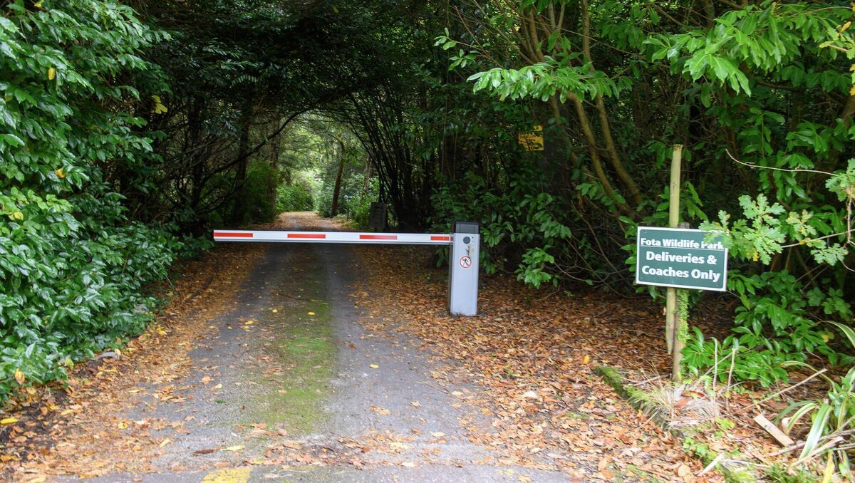 Fota Wildlife Park has been closed to the public since October 14 as it deals with a bird flu outbreak, and a spokesperson said on Monday it is likely to remain closed for the rest of November. Picture: Dan Linehan