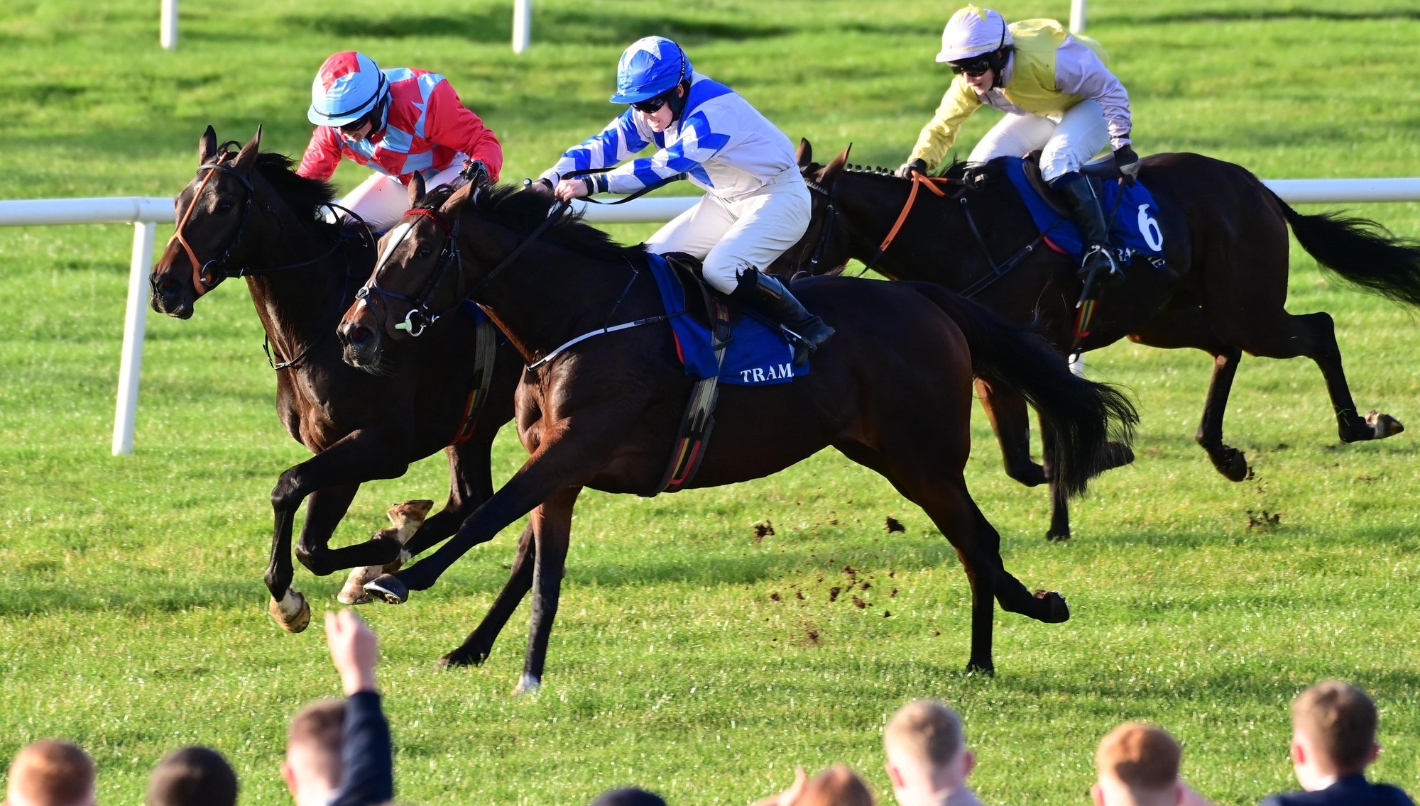 Tramore Racing Bon Viveur should be hard to stop at Tramore