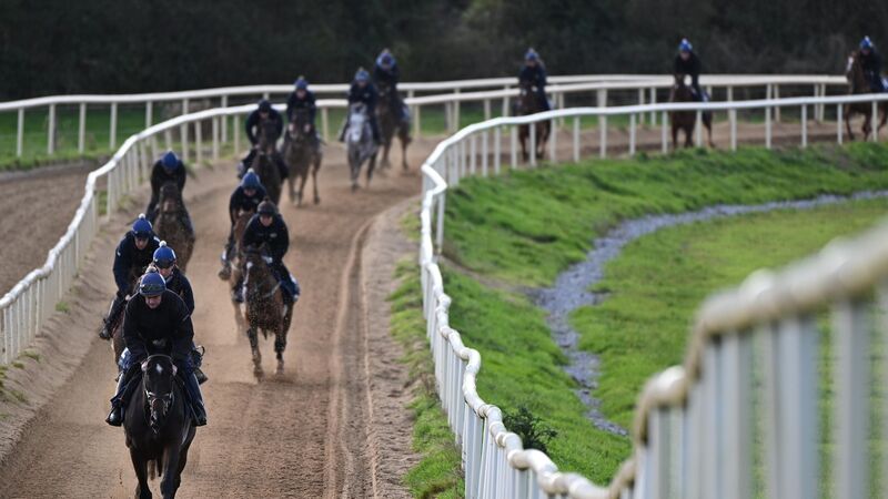 Gerri Colombe on the comeback trail