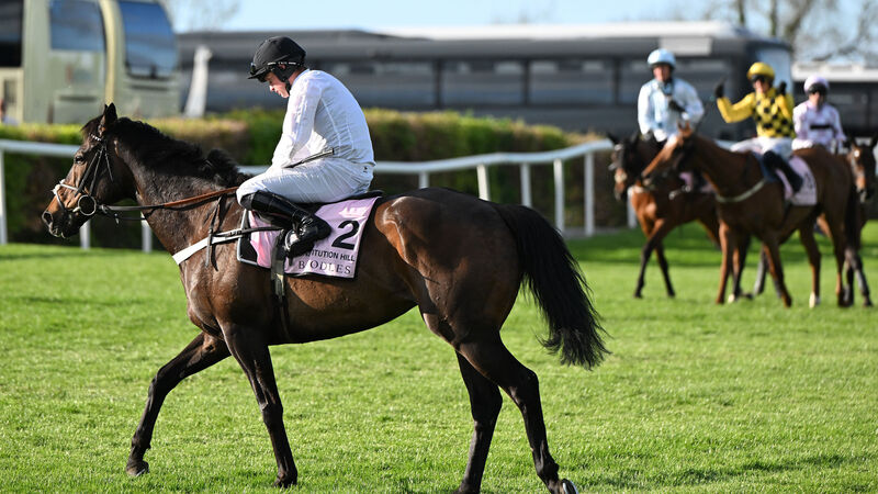 Constitution Hill to face four rivals in Fighting Fifth thriller