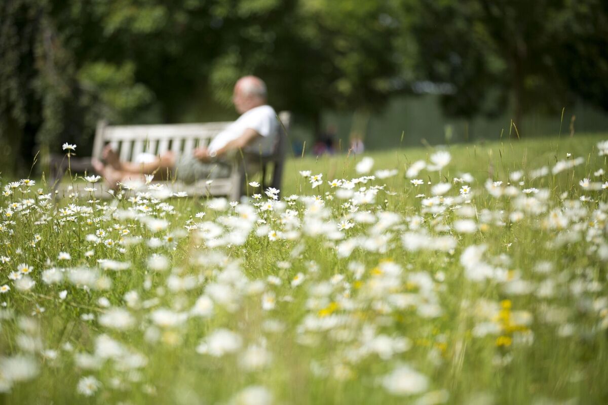 The great challenge with public benches is that having them is good for older adults and people with small children. The great challenge with public benches is that having them is good for older adults and people with small children.