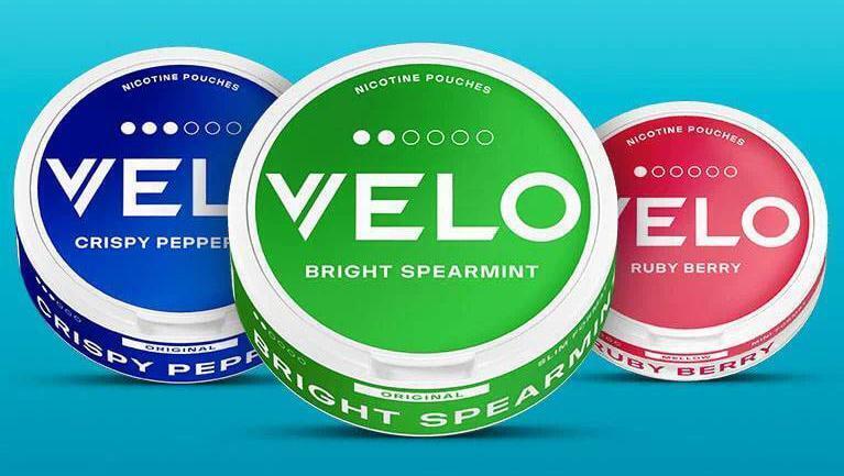PJ Carroll revenue hits €33.75m as sales of Velo nicotine pouches reach 29 million