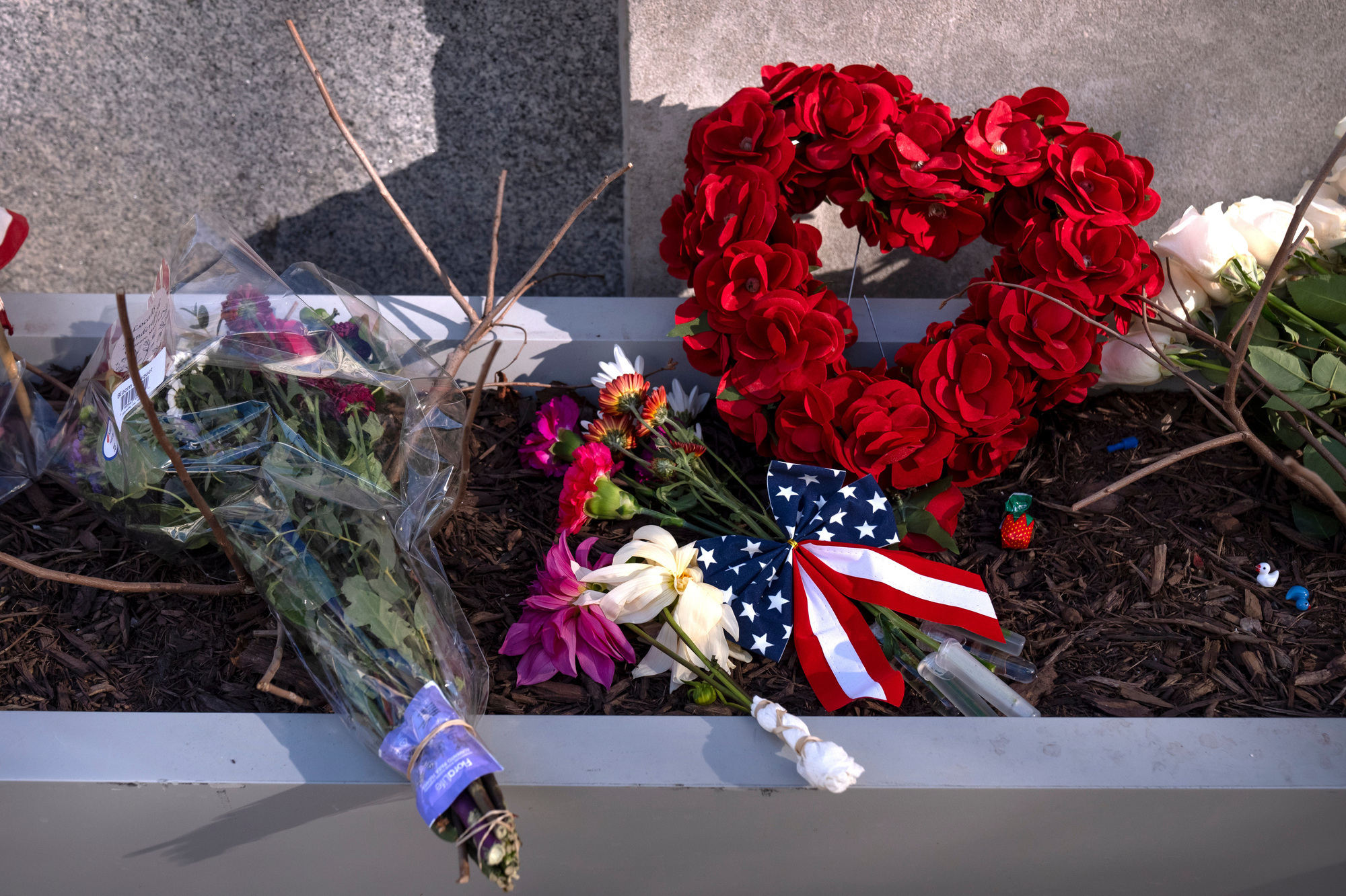US halts all asylum decisions after shooting of National Guard members
