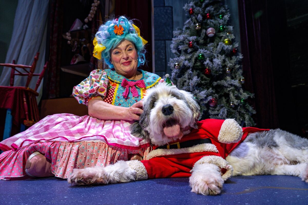 Panto Dame Fionula Linehan in full costume on stage at the Everyman with Dolly, dressed as Santa and proudly leading the pack during a special visit from My Canine Companion puppies-in-training ahead of this year’s Cinderella! Panto. Picture Chani Anderson