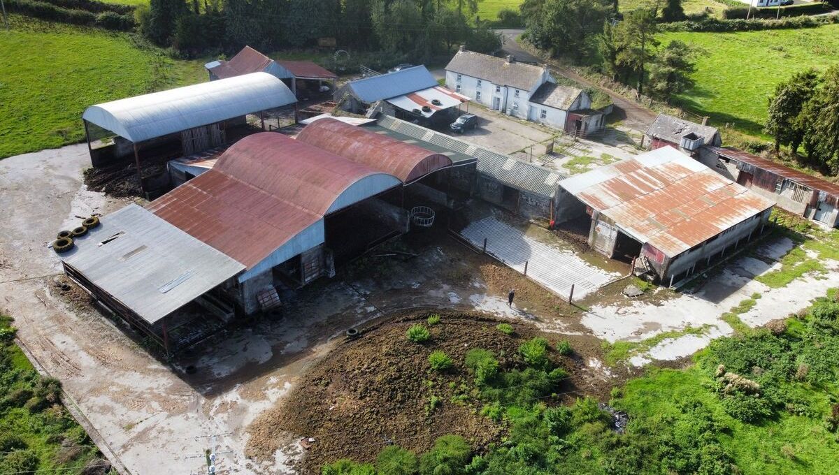 Offer already on table for 113-acre Kilkenny farm