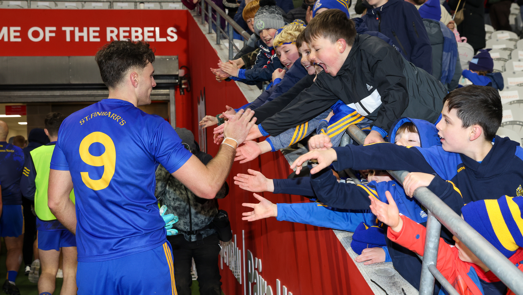 Kieran Shannon: Sad that dual delights like Brian Hayes are now rare gems 