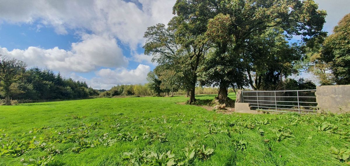 There is enough quantity of permanent pasture (21 acres) to draw the interest of many of the progressive dairy farmers in the area.