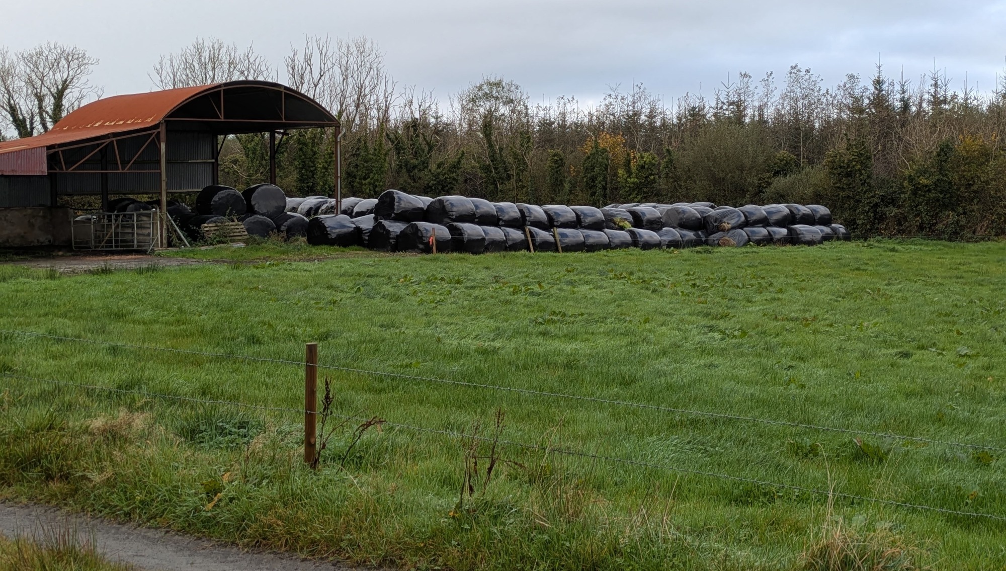 38-acre Clare holding cuts a tempting presence on Munster market