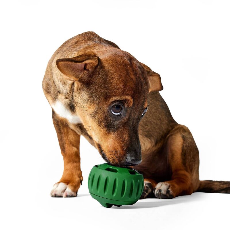 Pupsicle dog toy from Woof, from €22.99, Woof Pupsicle treats from €17.99.