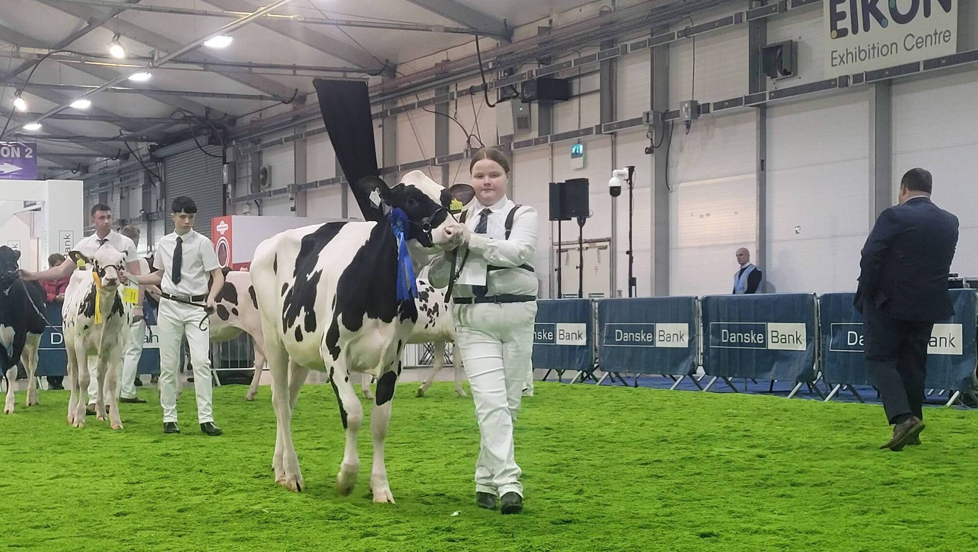 Paula Hynes: The North's bluetongue scare has given us a dose of the Winter Fair blues