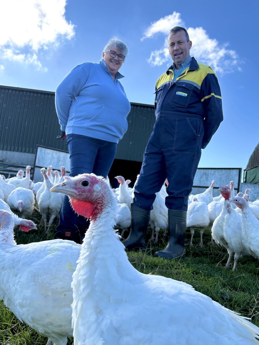 “My mother and father always had turkeys. I remember no Christmas without a turkey. Wouldn’t be Christmas without it. Picture: Joe McNamee