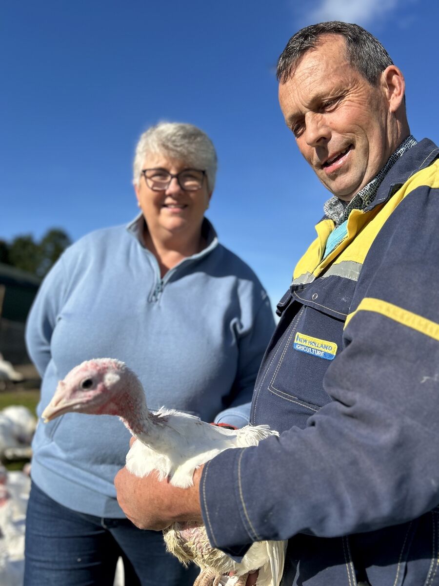 "A bird could be getting bullied and not getting enough feed. So I just isolate them for a week or so," Picture: Joe McNamee