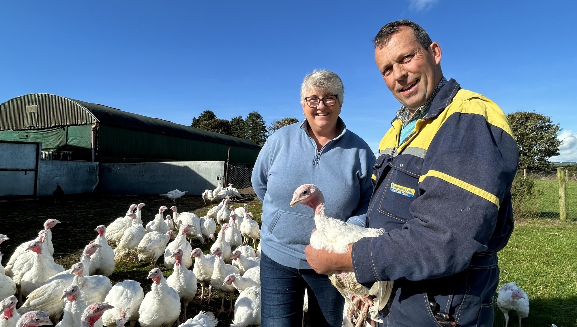I spent a day with Cork turkey farmers before Christmas — here's what I learned