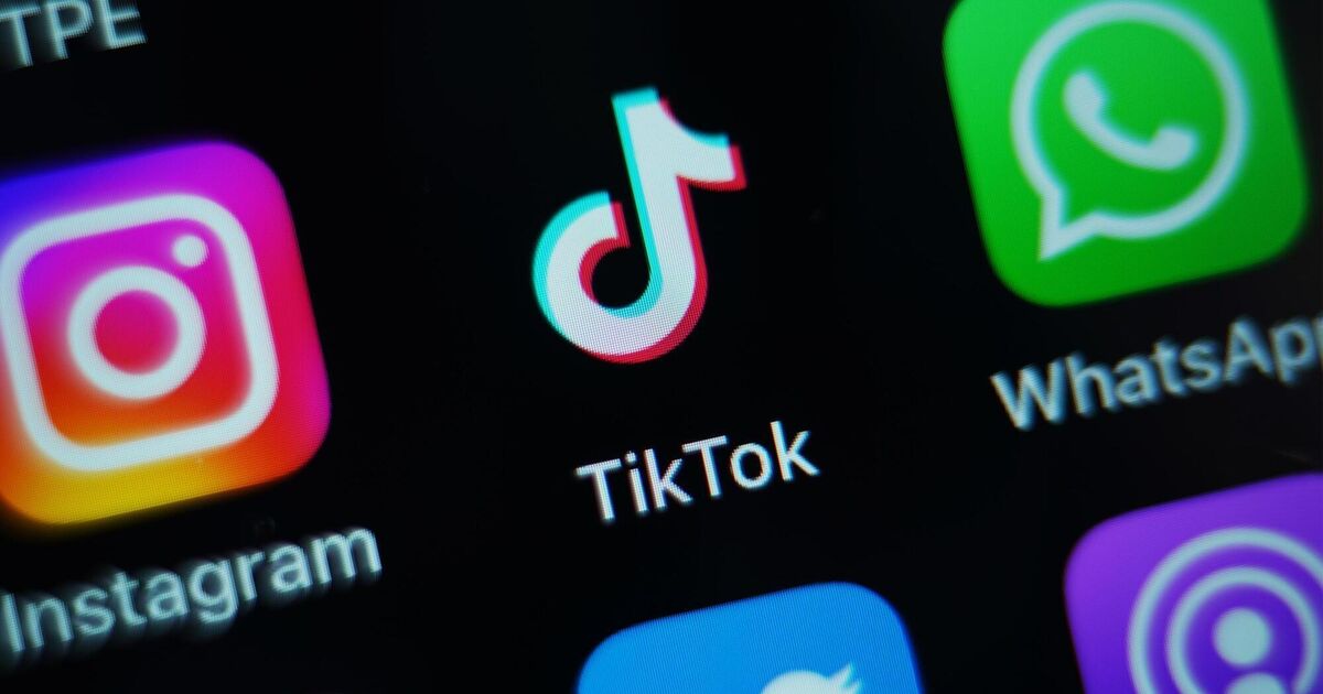 Media watchdog launches TikTok and LinkedIn investigations over illegal ...