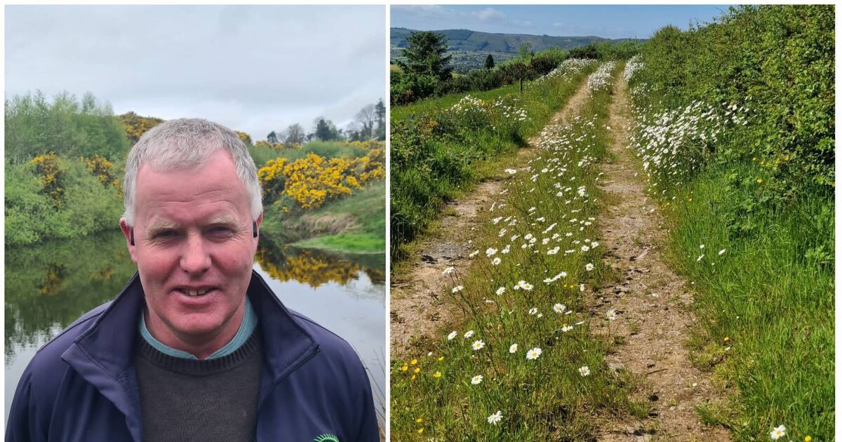 Donal Hickey: Eine Hommage an Landwirte, die im Einklang mit der Natur ...
