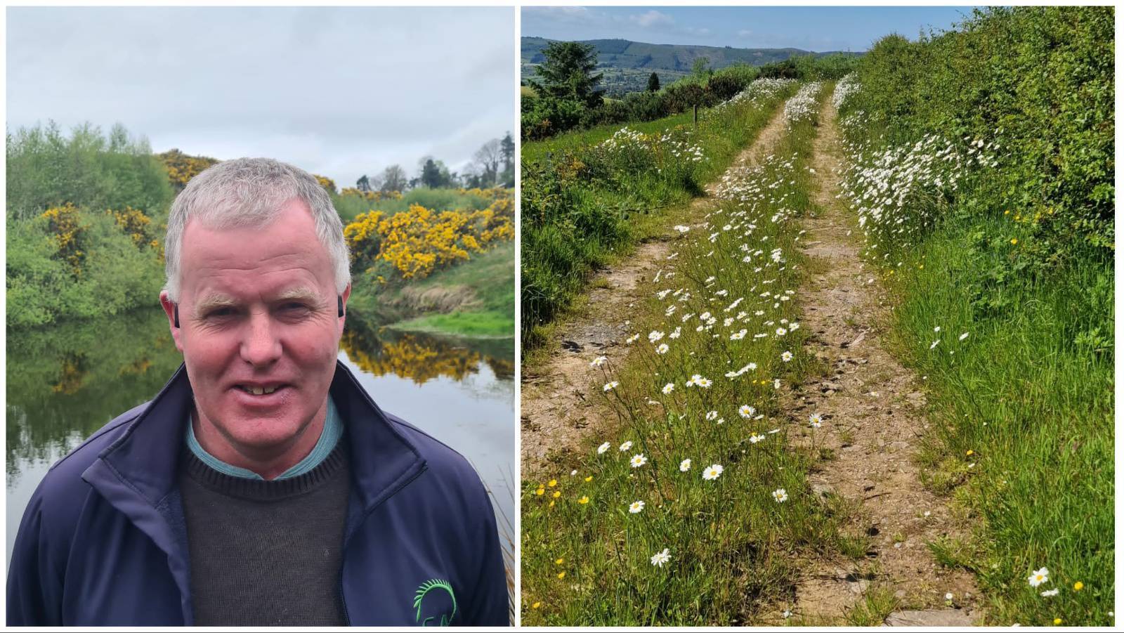 Donal Hickey: A salute to farmers working with nature