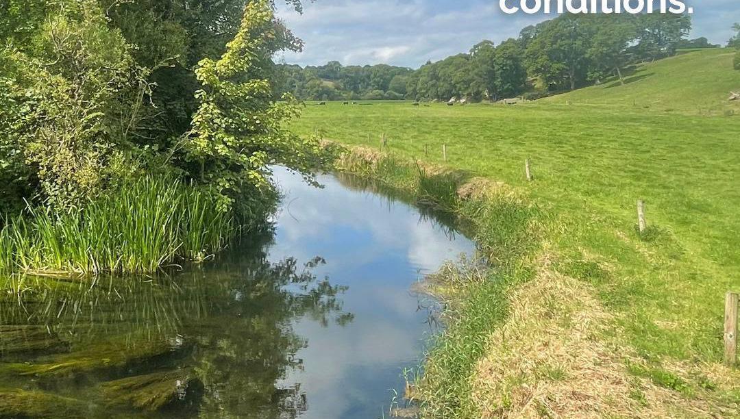 Anja Murray: Nitrates not giving our rivers a chance to breathe