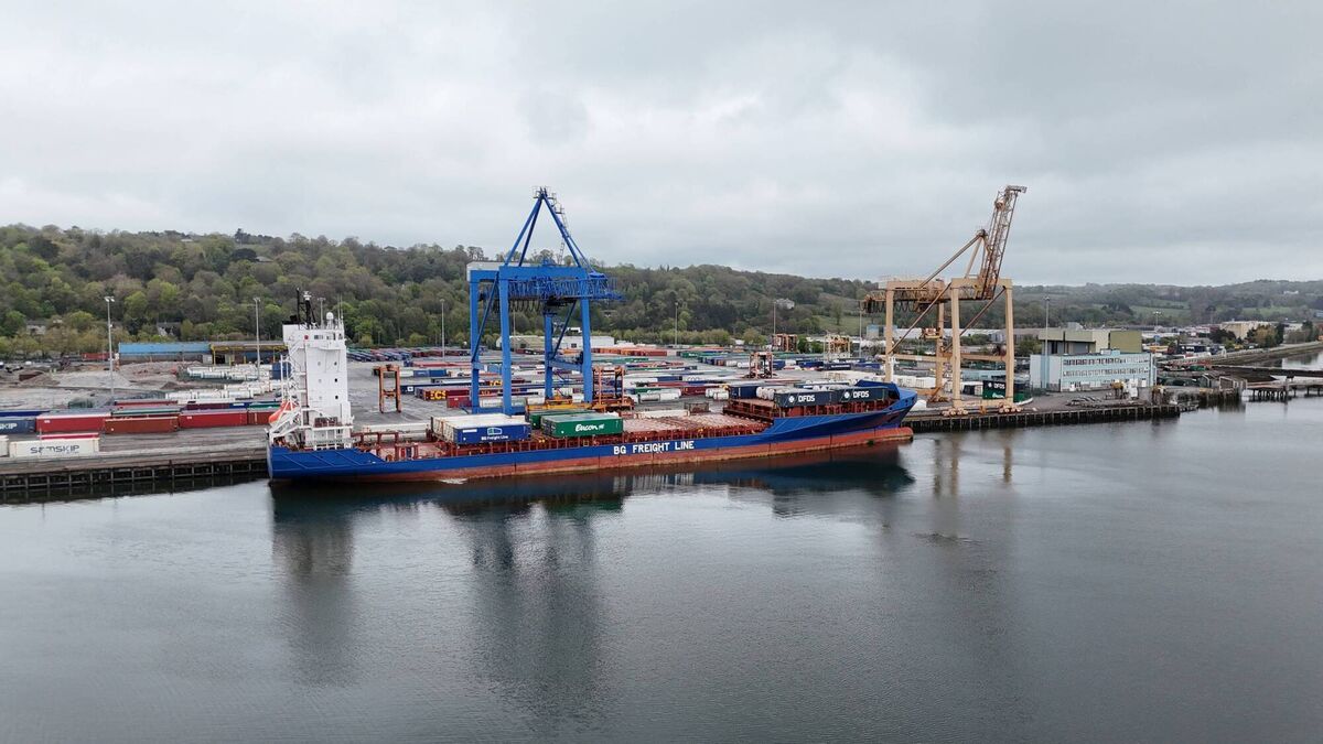 Tivoli docks in Co Cork. As things stand, in public sector contracts, engineers can be held liable for the mistakes of any other party in the project. File picture: Larry Cummins