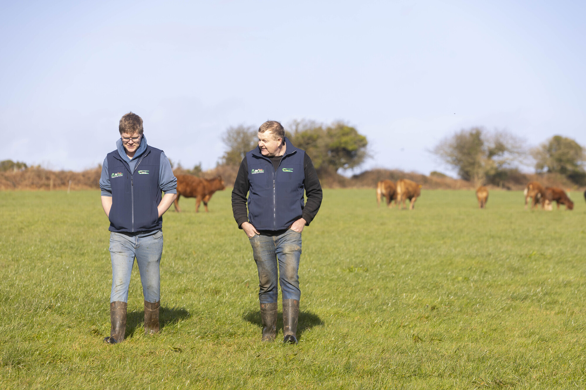 Building farm cover to extend the grazing season