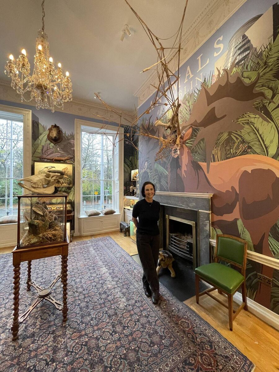 Gemma in the Little Museum of Dublin on St Stephen's Green.